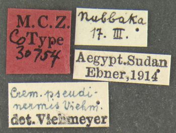 Media type: image; Entomology 30754   Aspect: labels